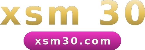 xsm 30 logo